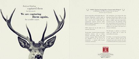 ademarcreative communication design